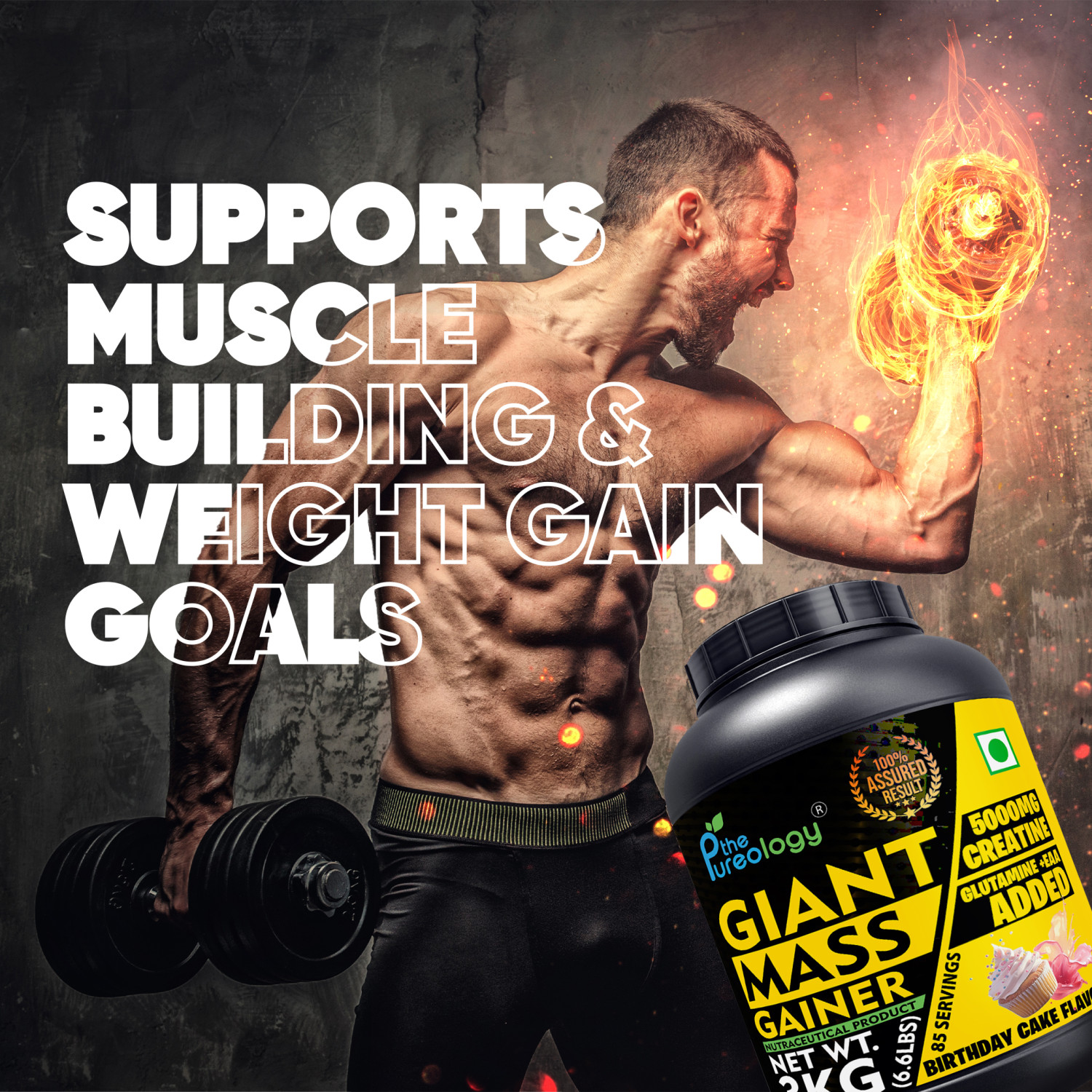 thepureology Giant Mass Gainer Weight Gainers/Mass Gainers  (3 kg, Birthday Cake) thepureology Giant Mass Gainer Weight Gainers/Mass Gainers  (3 kg, Birthday Cake)