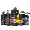 Gaining Combo ( Gainer 1 kg , 1 Creatine 150 gm ,1 Glutamine 150 gm, 1 Essential Amino 150 gm, 1 Pre-workout 150 gm)