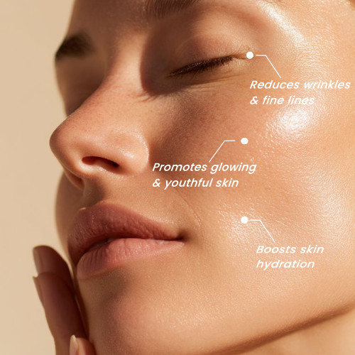 Thepureology Collagen Powder
